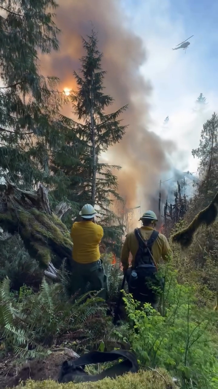Fire destroys trestle on Mt. Rainier Scenic Railroad – ELBE, WA